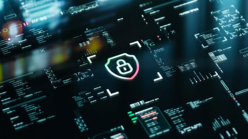 宜秀区软件开发公司